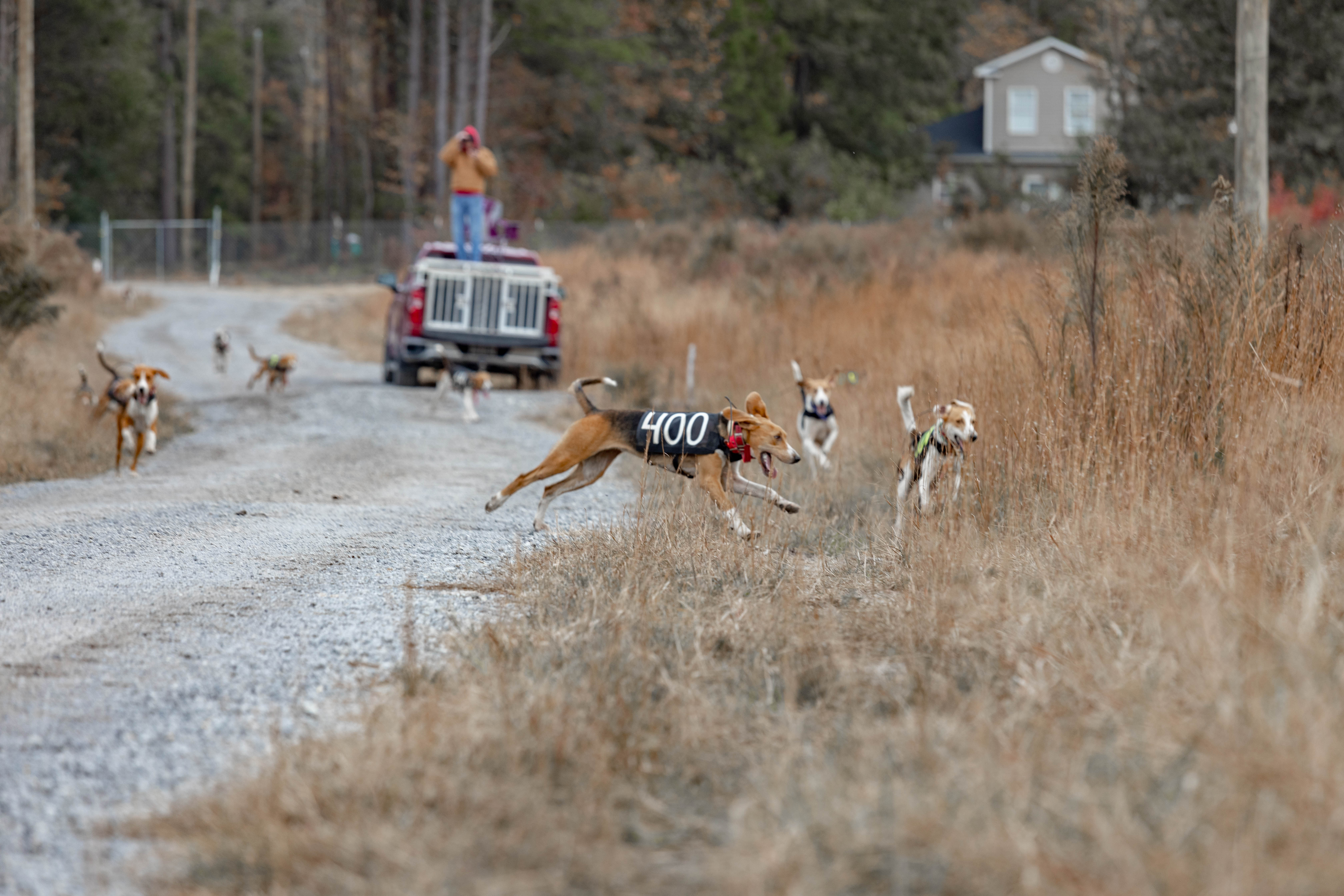 Field trial online blankets